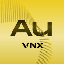 VNX Gold icon