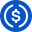 USDC icon
